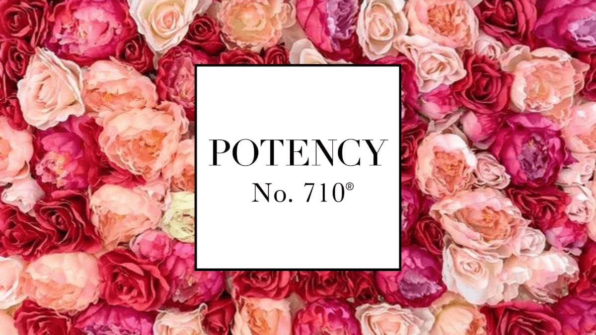Potency No. 710 Rose Oil Gold Serum CBD CBG