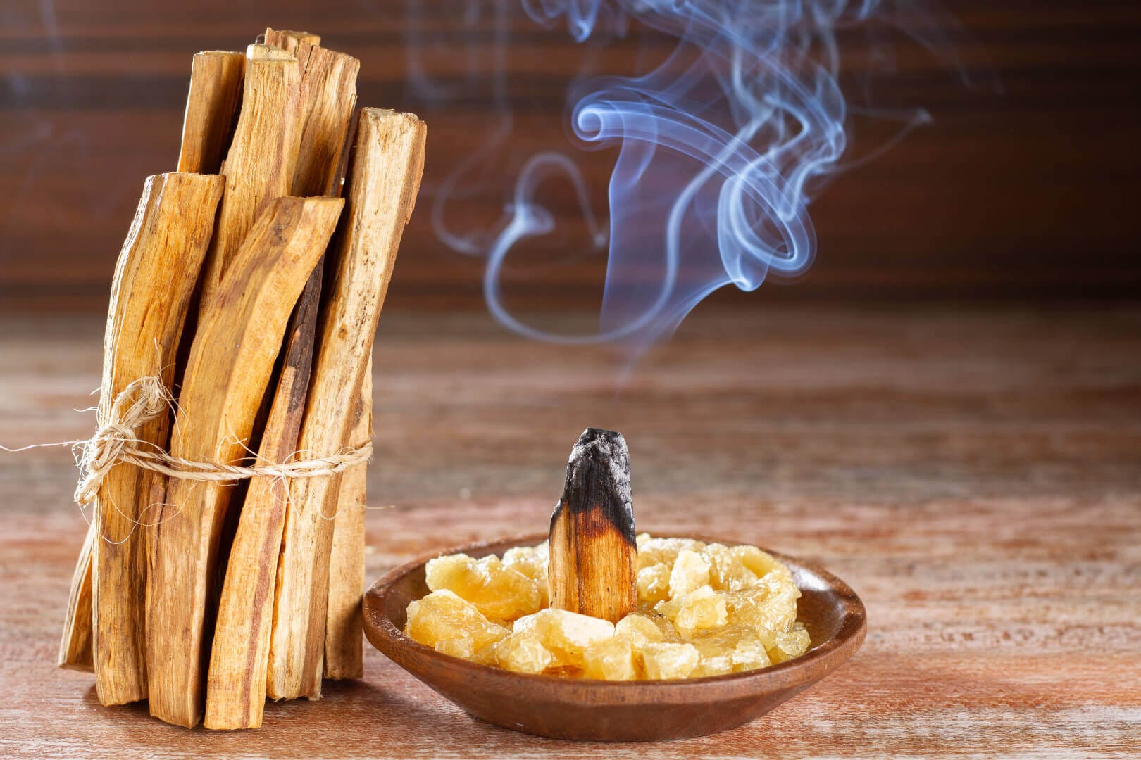 Sacred Palo Santo and What You Need to Know