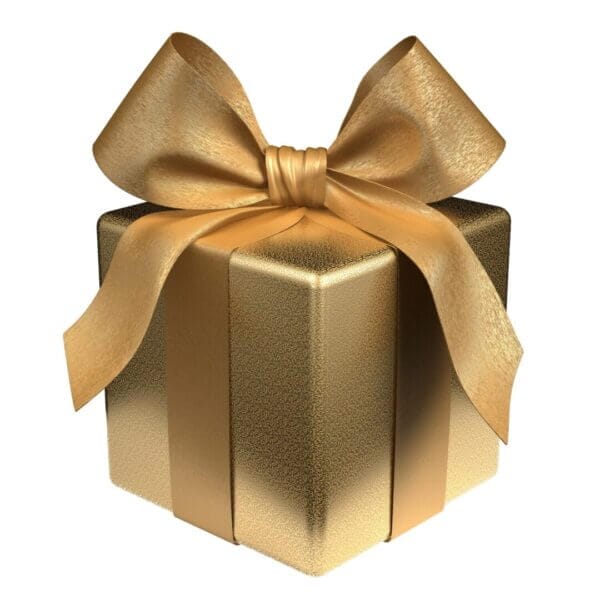 Mystery Gift
